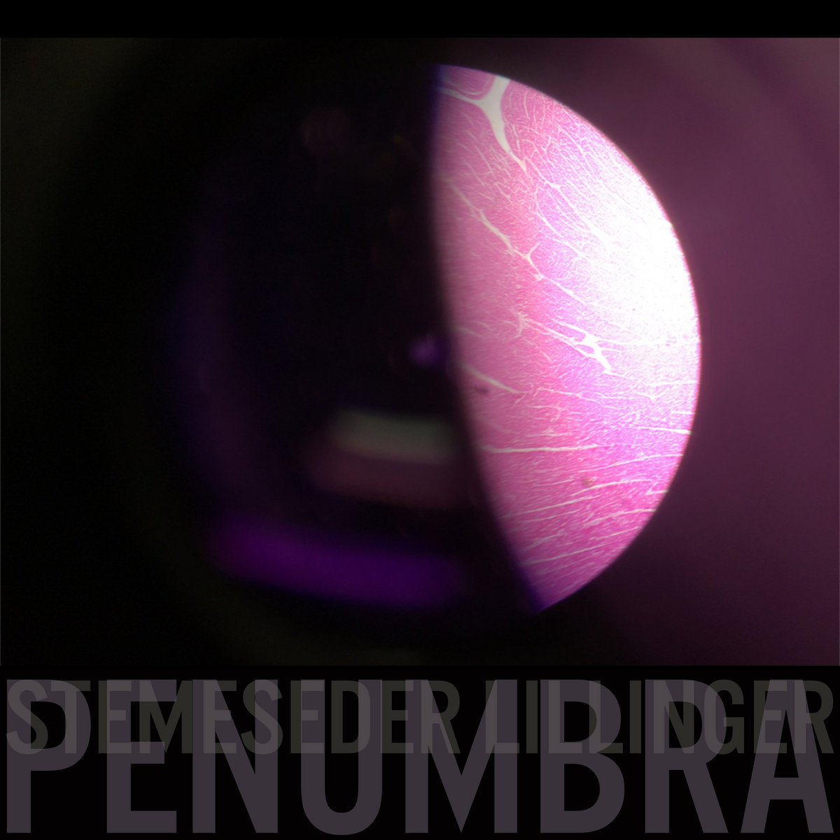 Christian Lillinger & Elias Stemeseder, Penumbra