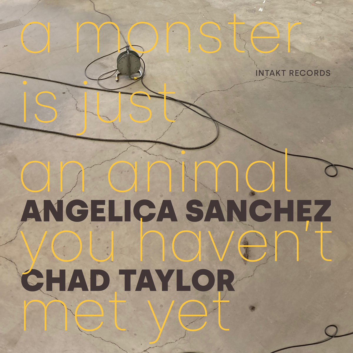 Angelica Sanchez & Chad Taylor – A Monster Is Just An Animal You Haven’t Met Yet