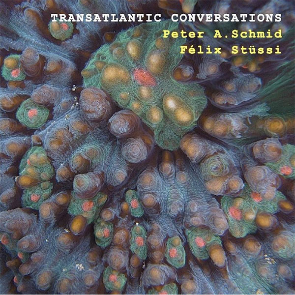 Peter A. Schmid, Felix Stüssi – Transatlantic Conversations